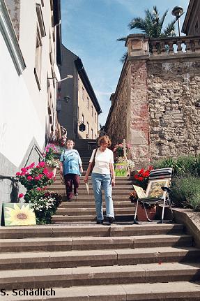 Blumentreppe Klein Montmartre